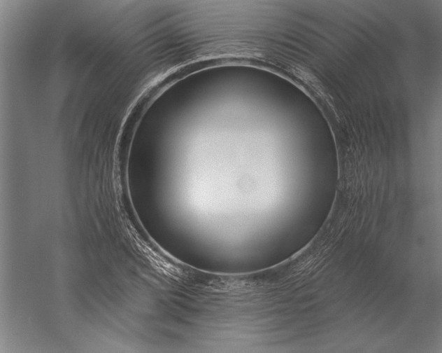 X0000056361072200509091616