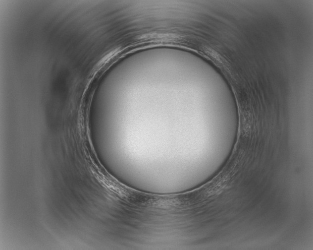 X0000056361074200509091616