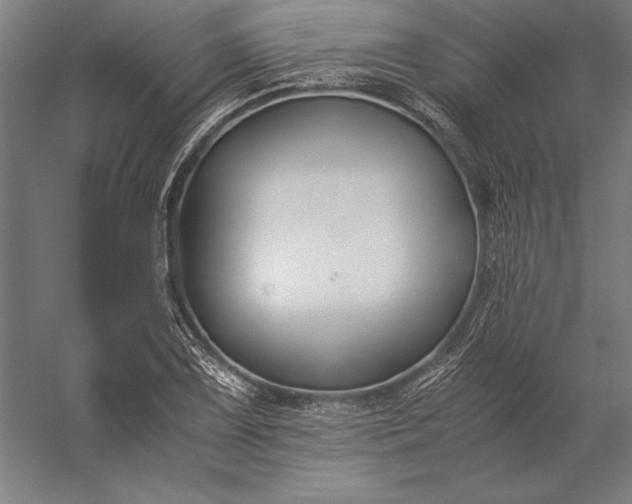 X0000056361075200509091616