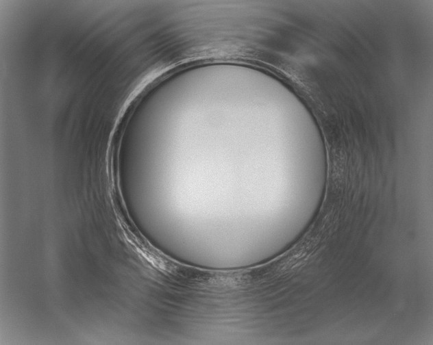 X0000056361078200509091616