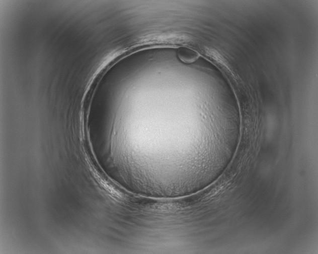 X0000056361079200509091616