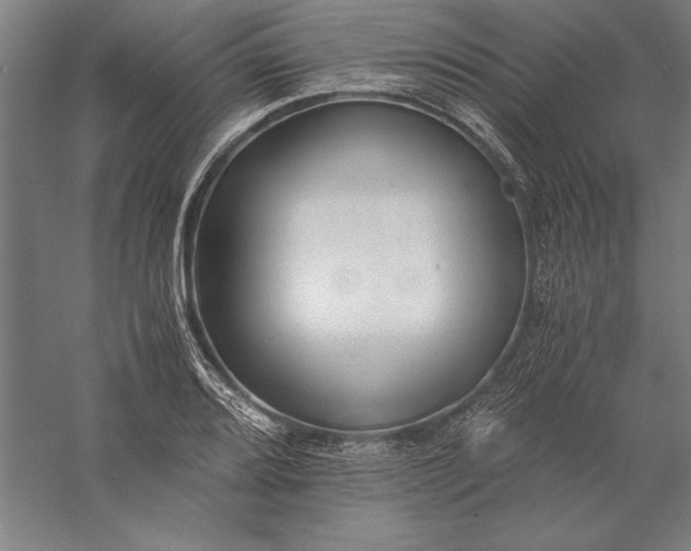 X0000056361080200509091616