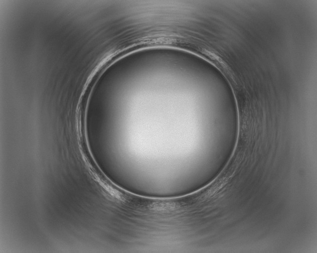 X0000056361083200509091616