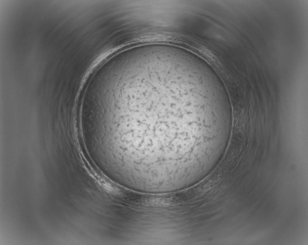 X0000056361086200509091616