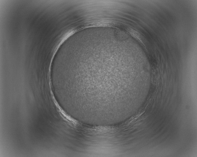 X0000056361087200509091616