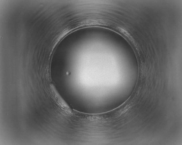 X0000056361089200509091616