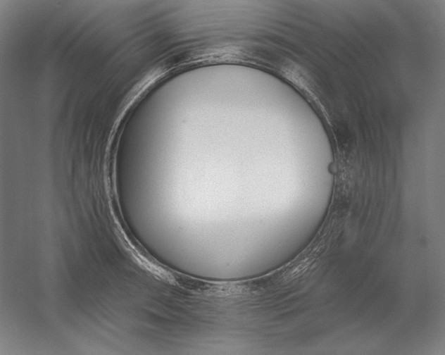 X0000056361090200509091616