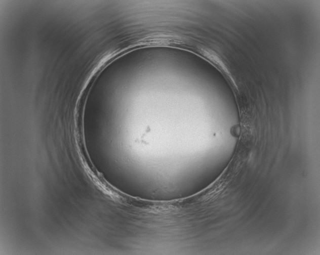 X0000056361091200509091616