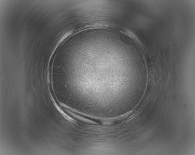 X0000056361095200509091616