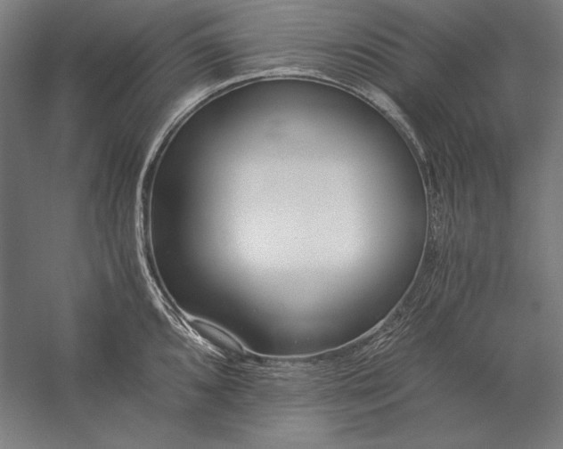 X0000056361096200509091616