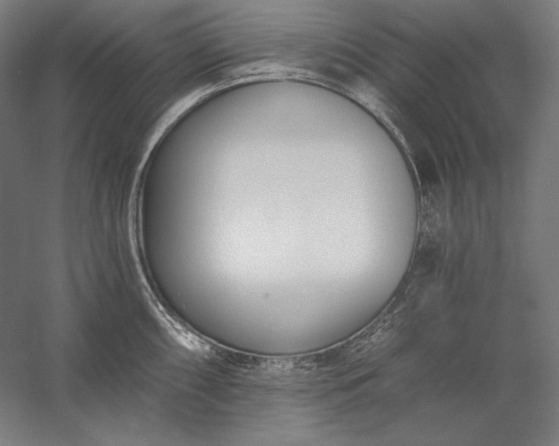 X0000056361098200509091616