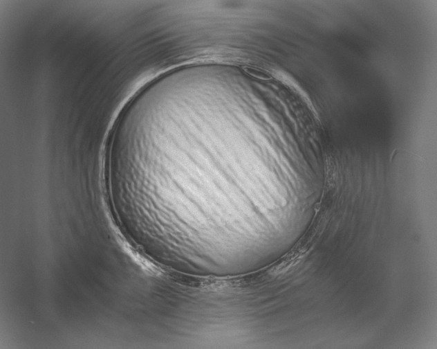 X0000056361099200509091616