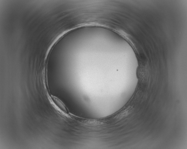 X0000056361100200509091616