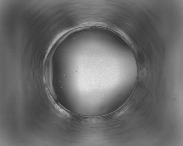 X0000056361102200509091616