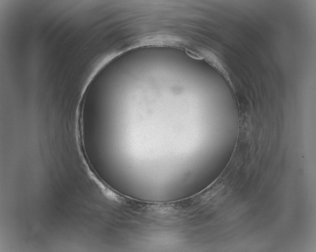 X0000056361103200509091616