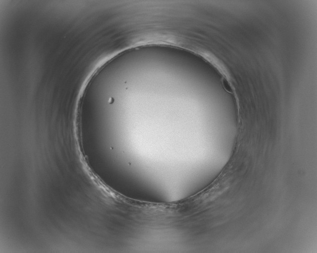 X0000056361104200509091616