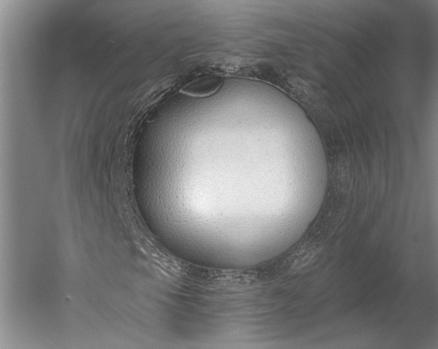 X0000056361105200509091615