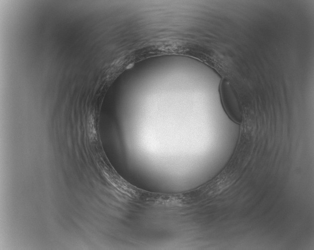 X0000056361106200509091615