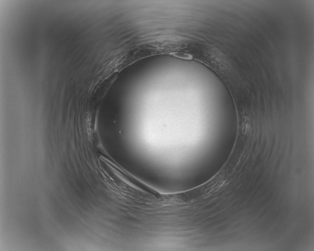 X0000056361108200509091615