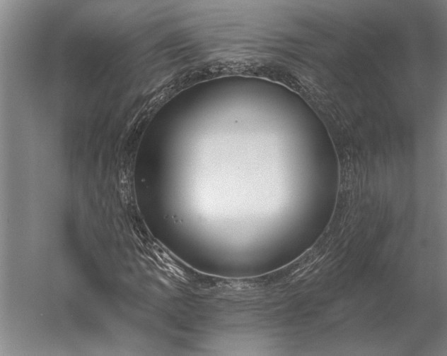 X0000056361109200509091615