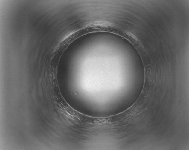 X0000056361112200509091615