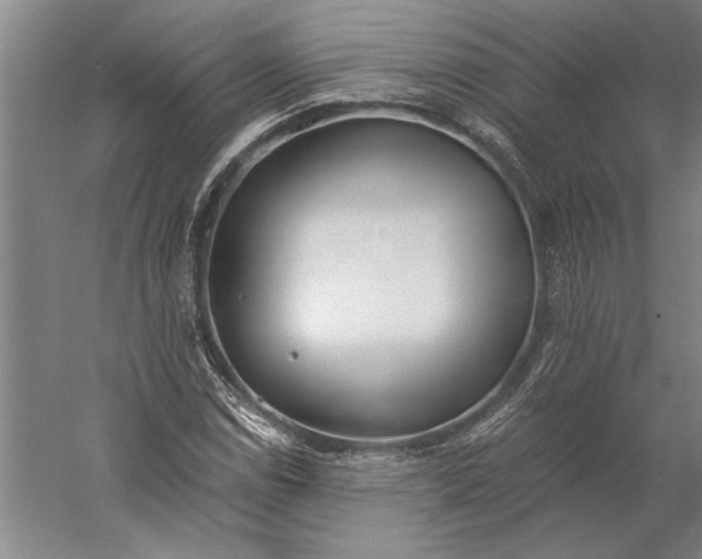 X0000056361114200509091615