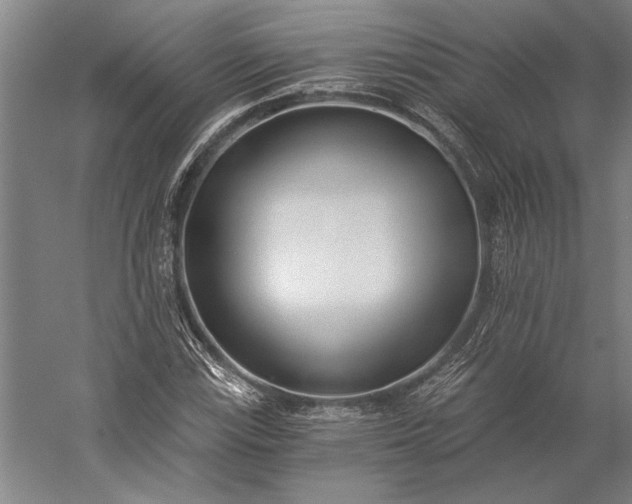 X0000056361115200509091615