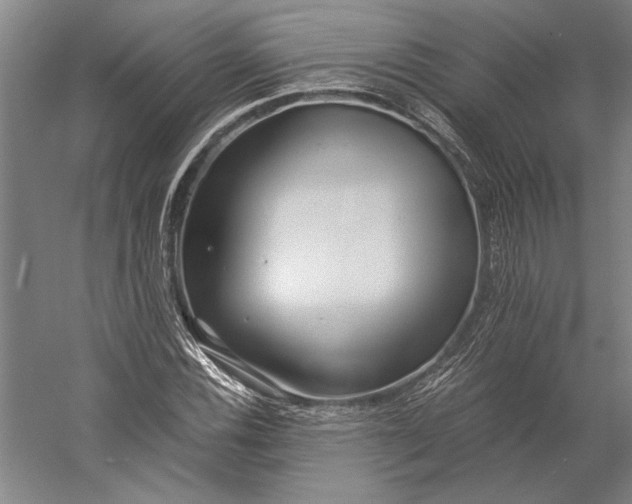 X0000056361116200509091615