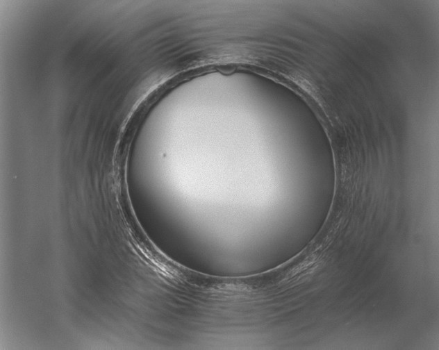 X0000056361119200509091615