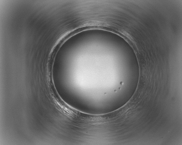 X0000056361120200509091615