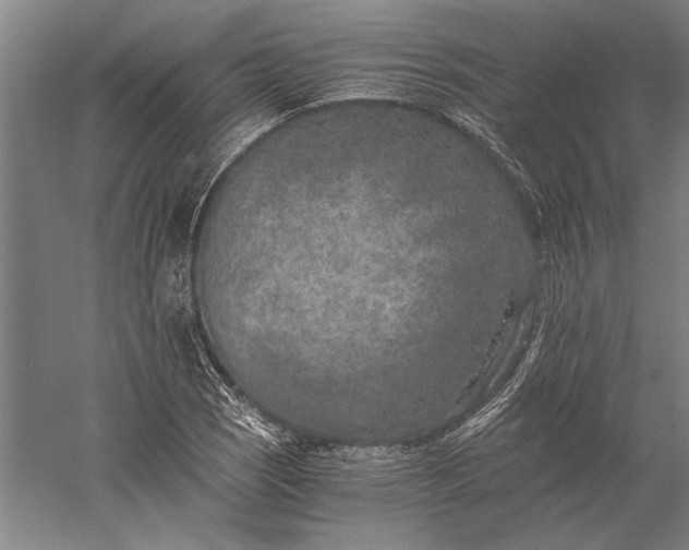 X0000056361121200509091615