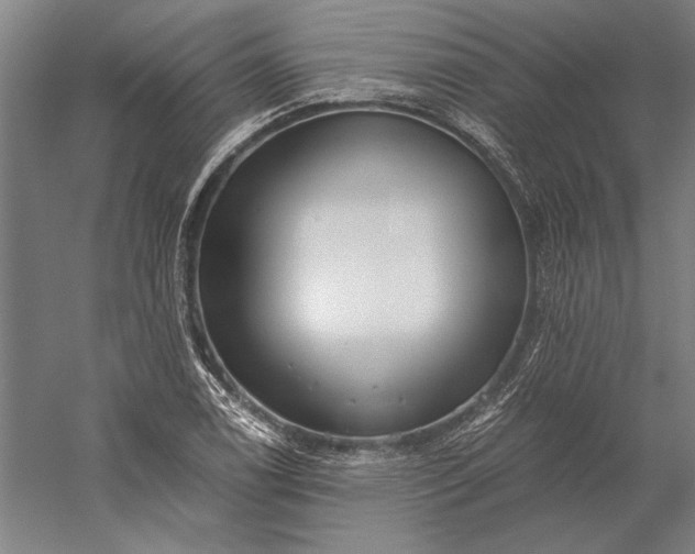 X0000056361122200509091615