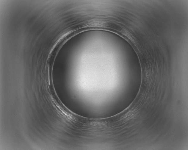 X0000056361123200509091615