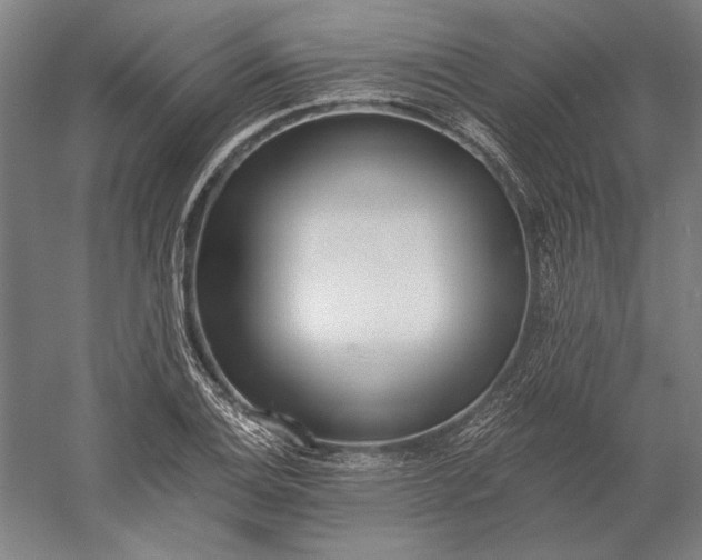 X0000056361124200509091615