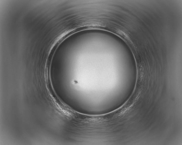 X0000056361125200509091615