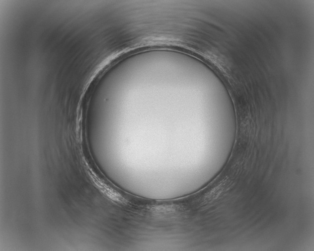 X0000056361126200509091615