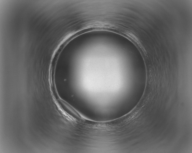 X0000056361128200509091615