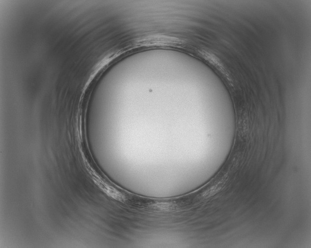 X0000056361130200509091615