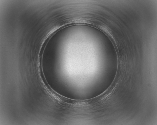 X0000056361133200509091616