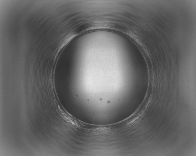 X0000056361137200509091616