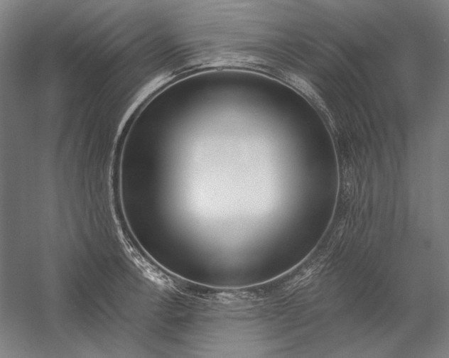 X0000056361138200509091616