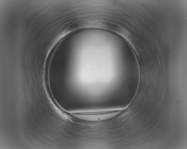 X0000056361139200509091616