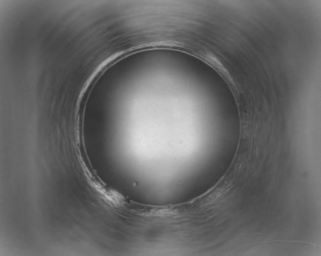 X0000056361140200509091616