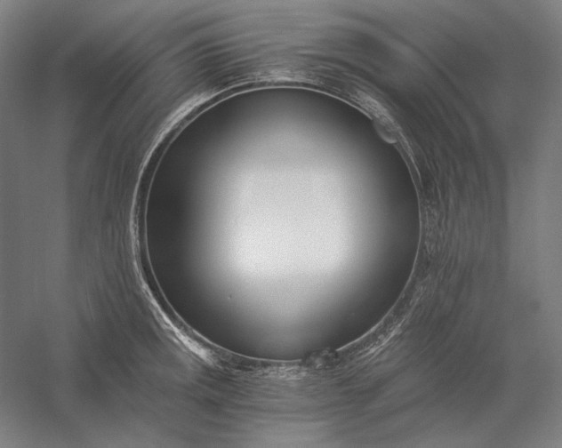 X0000056361141200509091616