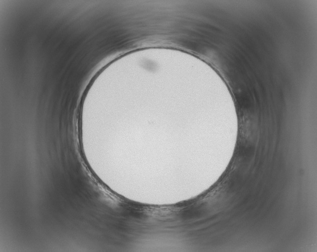 X0000056361150200509091616