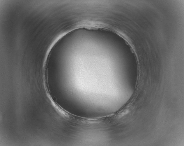 X0000056361152200509091616