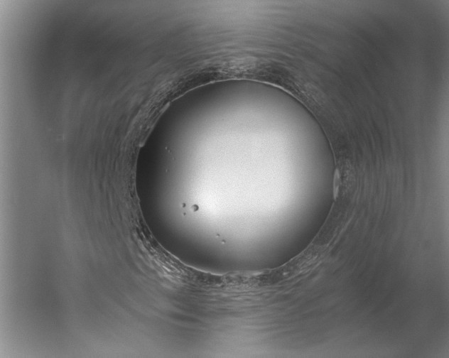 X0000056361153200509091615