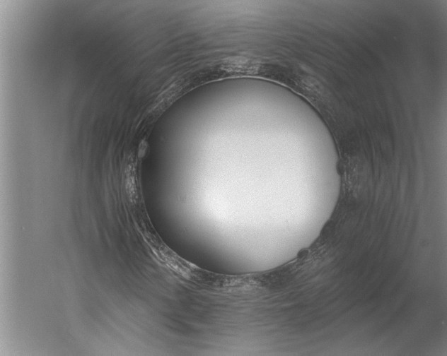 X0000056361154200509091615