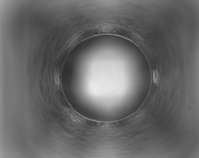 X0000056361155200509091615