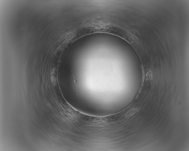 X0000056361156200509091615